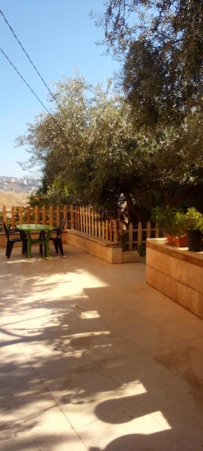 Flower Jarash Exterior photo