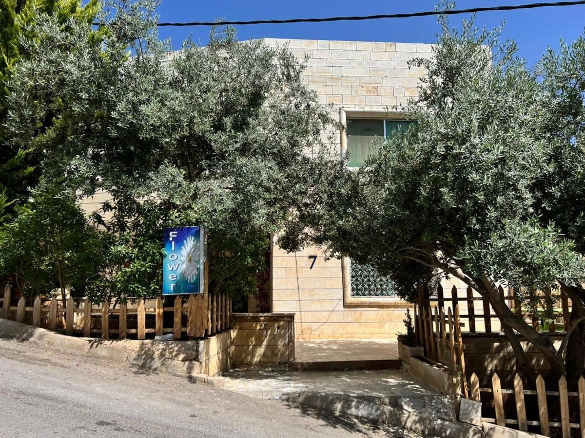 Flower Jarash Exterior photo